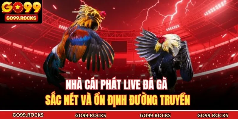 Nhà cái phát live đá gà sắc nét và ổn định đường truyền