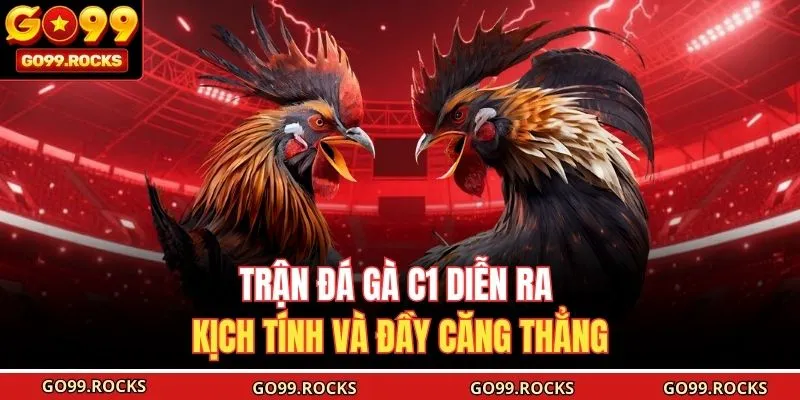 Trận đá gà C1 diễn ra kịch tính và đầy căng thẳng